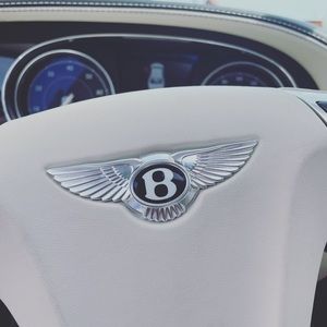 Meet your Posher, Raygen